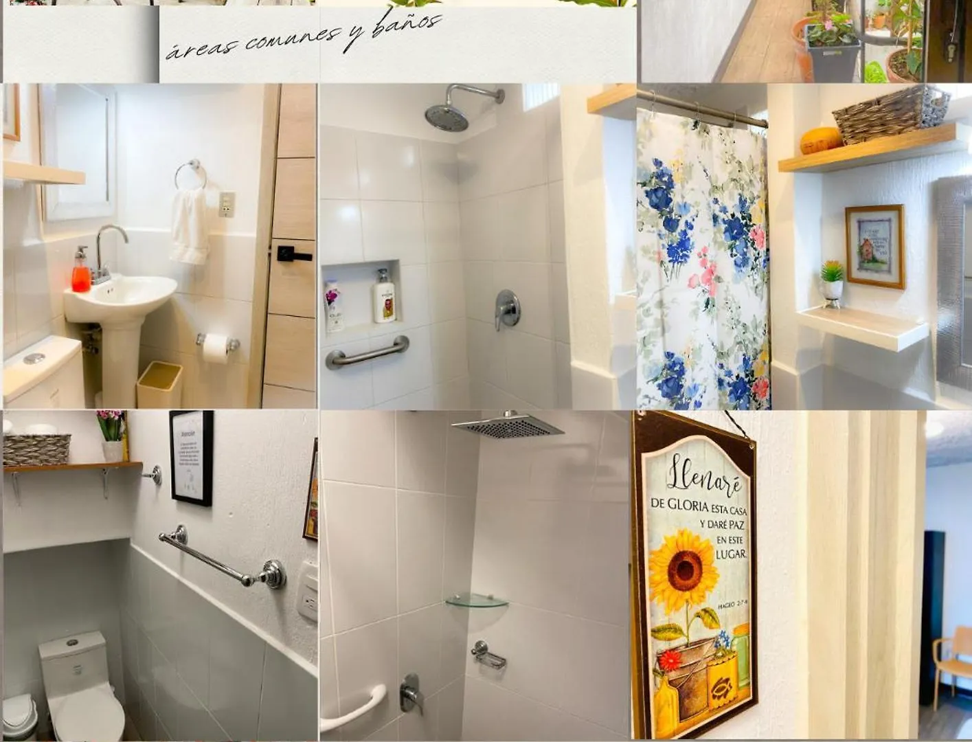 Homestay Casa-Lucy Apartment Guatemala City Guatemala