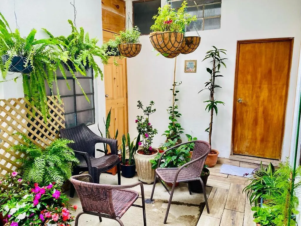 Casa-Lucy Apartment Guatemala City