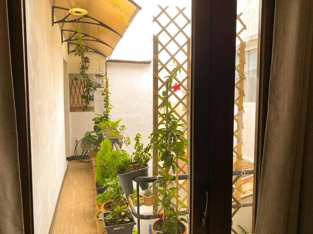 Homestay Casa-Lucy Apartment Guatemala City