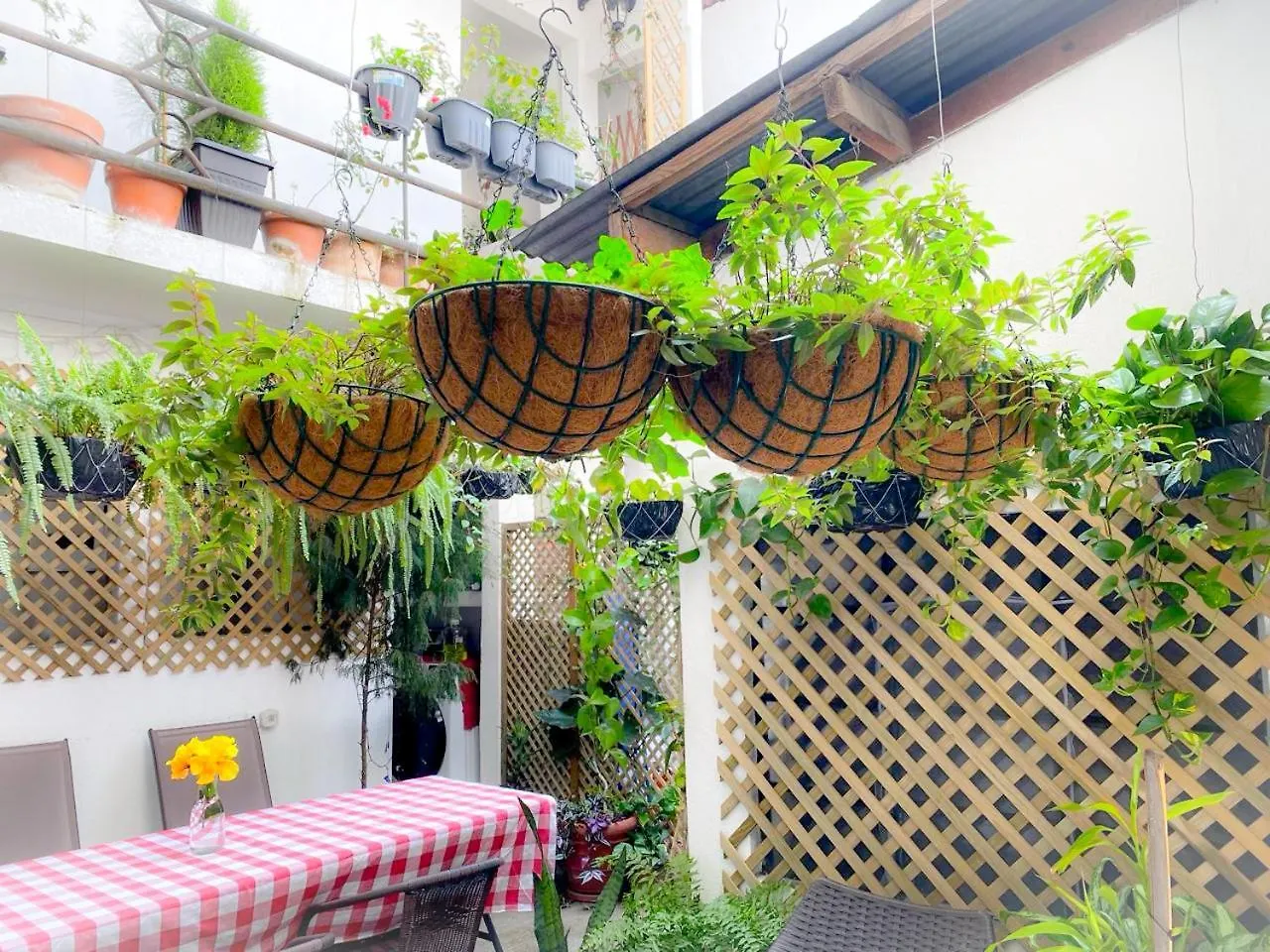Casa-Lucy Apartment Guatemala City
