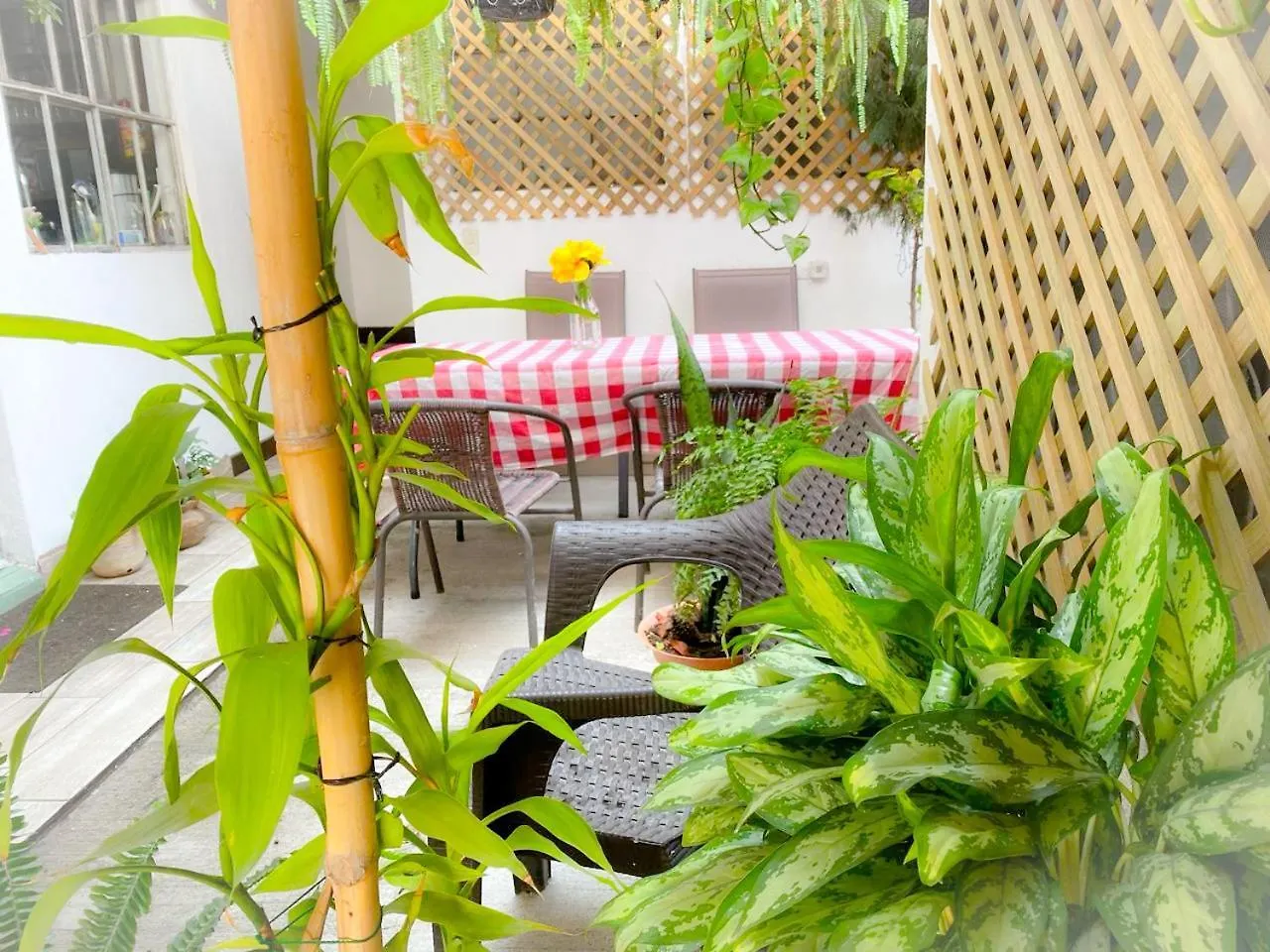 Casa-Lucy Apartment Guatemala City Homestay