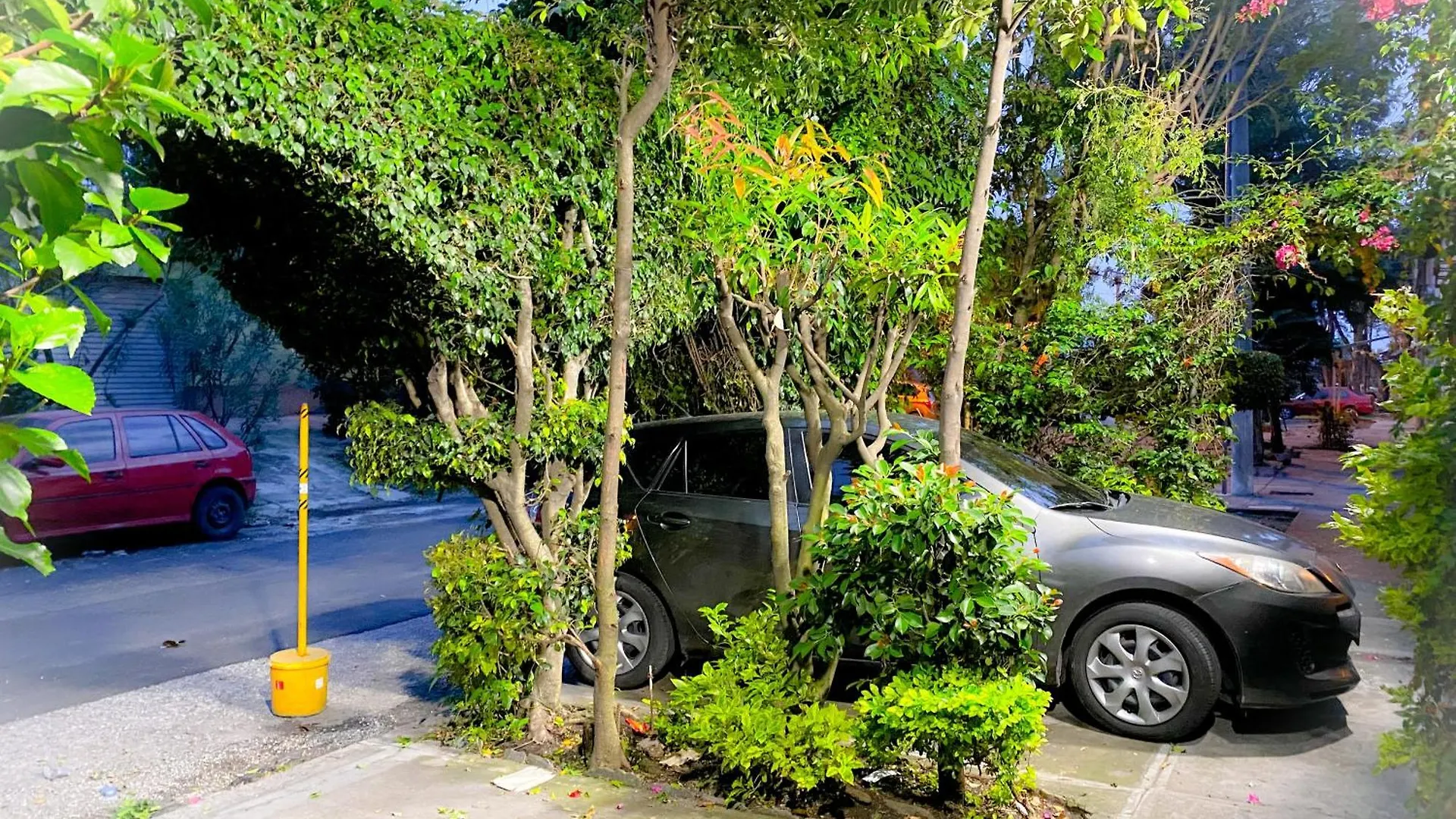 Homestay Casa-Lucy Apartment Guatemala City